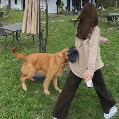 无色无慰